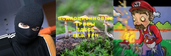 стаф Медногорск