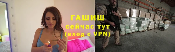 стаф Медногорск