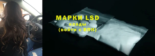 стаф Медногорск