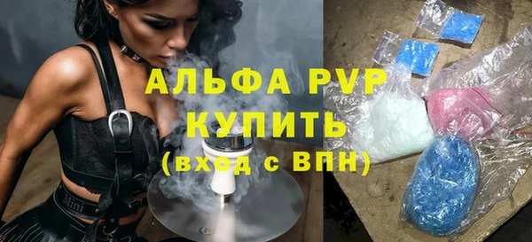 стаф Медногорск
