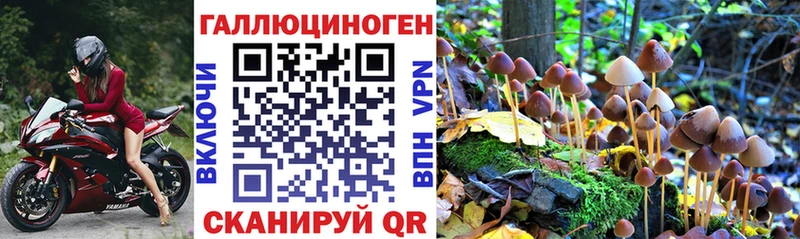 Псилоцибиновые грибы Psilocybine cubensis  ОМГ ОМГ онион  Сызрань 